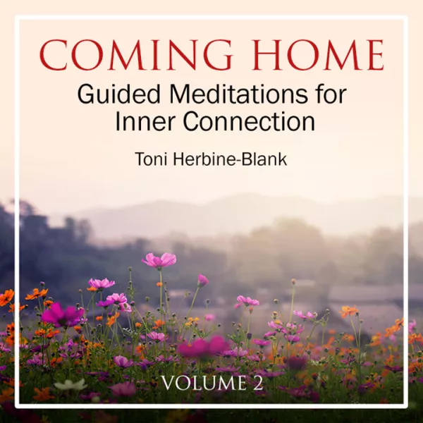 Coming Home Guided Meditations for Inner Connection, Vol. 2 Audio